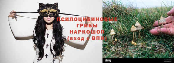 бутират Алзамай